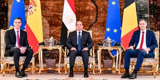 sisi