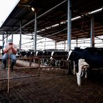 farm