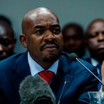 chamisa
