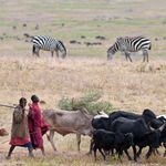 Maasai