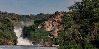 murchisonpic