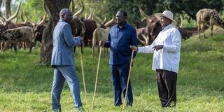 raila-ruto-museveni