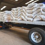 WAREHOUSE TRUCK