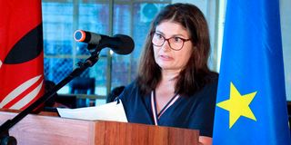 eu envoy