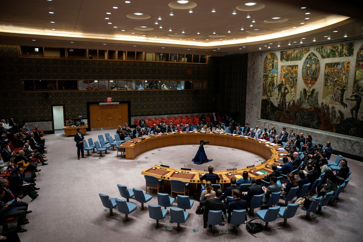 Somalia elected non-permanent member of the UN Security Council - The ...