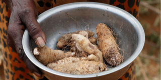 Sudan famine