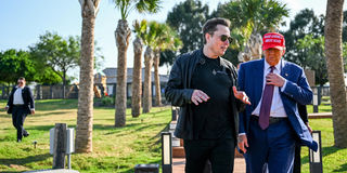 TRUMP-MUSK