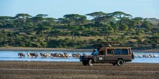 Tourists Tanzania