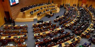 African Union Summit.