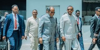 Hassan Sheikh Mohamud and Abiy Ahmed