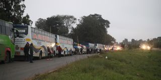 buses 