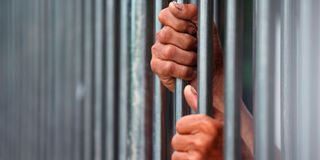 jail bars