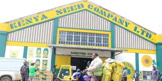 Kenya Seed Company
