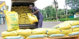 Kenya Seed Company