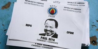 2025-10-12T162524Z_1872003193_RC29AHA1VHFJ_RTRMADP_3_CAMEROON-ELECTION