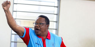Lissu (2)