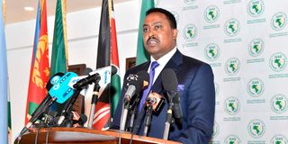 Workneh Gebeyehu Igad