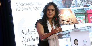 Sheila Aggarwal-Khan