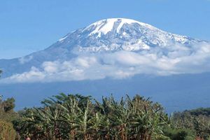 Mt Kilimanjaro