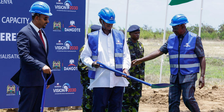 Sign Lesson Cartoon Dangote’s deal is a timely lesson in mobilising own capital - The ...